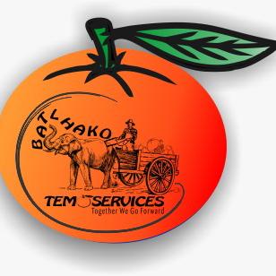 Batlhako Temo Services Logo