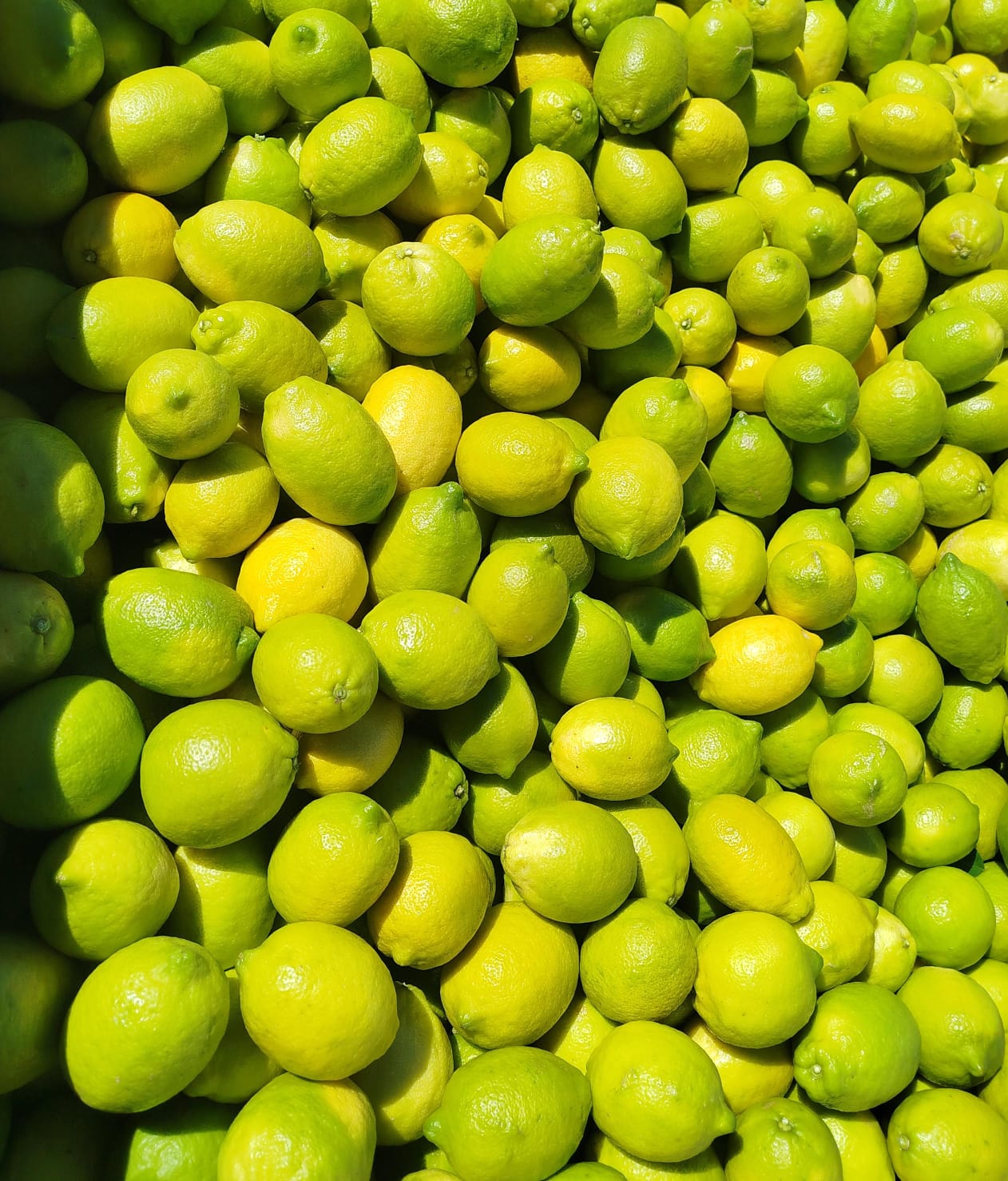 Lemons